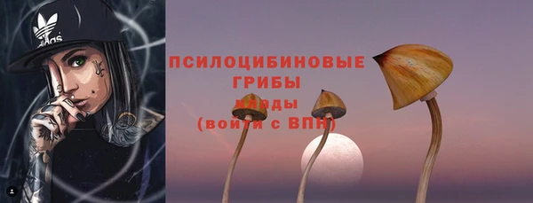 мдпв Арсеньев