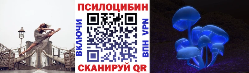 Галлюциногенные грибы Psilocybe  где купить   Микунь 